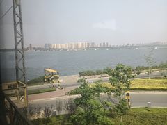 -向民炒鸡老店(火车站店)