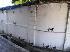 -槟城街头艺术街区