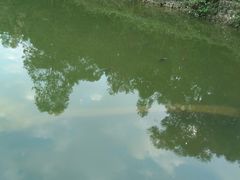 -榴花公园