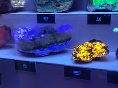 -湖南省地质博物馆