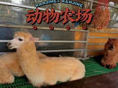 -盈香心动乐园