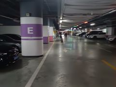 -国家会议中心大酒店-地上停车场