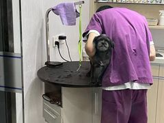 -宠颐生动物医院·小陆分院