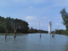 -东寨港红树林旅游区