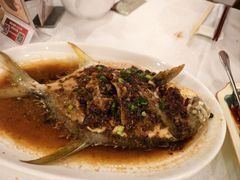 -金鮀岛潮州酒家