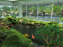 -罗红摄影艺术馆