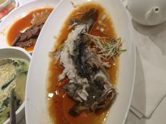 -绿雅酒家(江西中路店)