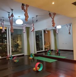 -Yvon yoga 瑜伽·精准体态管理中心