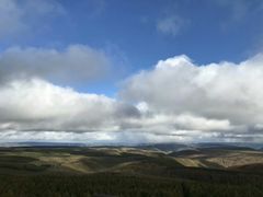 -塞罕坝国家级自然保护区