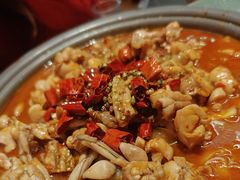 -美蛙四季(六里桥店)