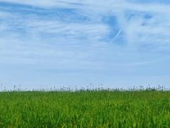 -汉长安城未央宫国家考古遗址公园