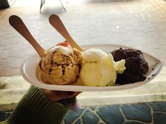 -Dooley's Premium Ice Cream