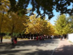 -辽宁大学(崇山校区)