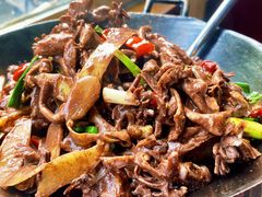 鸭肠杂-王城醋血鸭老店