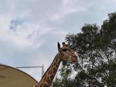 -泉州海丝野生动物世界