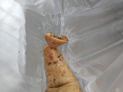 -泰谷酒店·太古码头闽菜自助餐厅