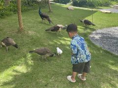 -惠州金海湾嘉华度假酒店