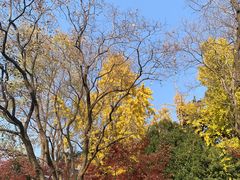 -狼山风景名胜区