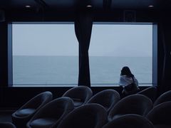-招商蛇口邮轮母港(观光客运)