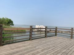 -吴淞炮台湾湿地森林公园烧烤区