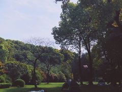 -新洲生态园