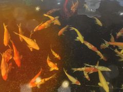 -经典婚纱摄影美学馆·私人定制