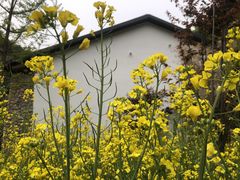 -少华山国家森林公园