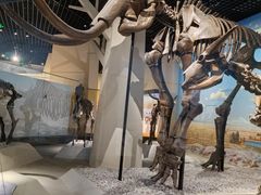 -国家自然博物馆