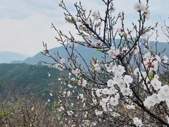 -香山公园
