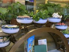 -烹然四季椰子鸡火锅(团结湖总店)