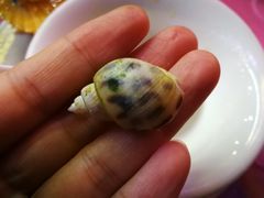 -龙溪海鲜酒家(溪涌店)