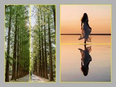 -CGWANG王氏教育(上海校区)