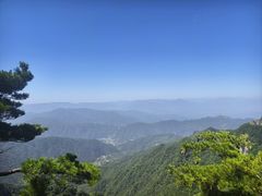 -王顺山国家森林公园