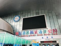 -烟台海昌鲸鲨海洋公园