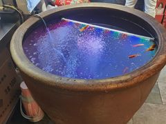 -翁家大院(西美·五洲天地店)
