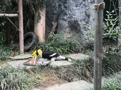 -成都动物园