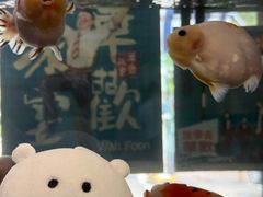 -華歡冰室-WahFoon(吉大店)