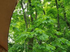 -伴山茶苑·围炉煮茶