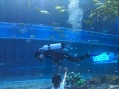 -华夏文旅海洋公园