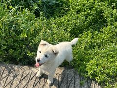 -明婷饭店(外曹家巷店)