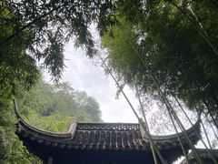 -焦山风景区