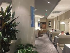 大堂-马仕玖煲(万宴城店)