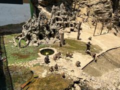 -栾川竹海野生动物园