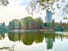 -观山湖公园