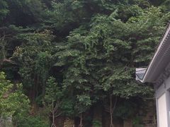 -首义公园-武昌蛇山烈士祠