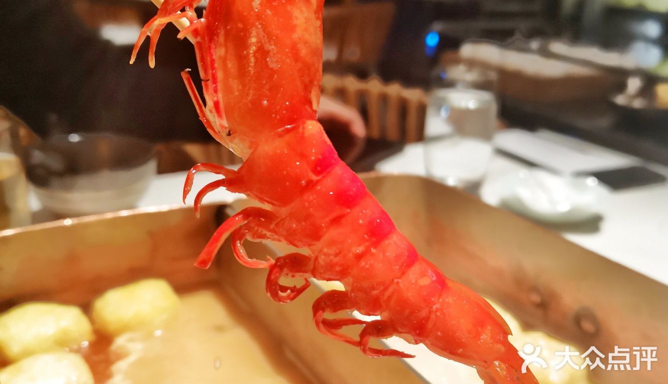 连吃火锅都能吃出氛围感|生猛鲜活海鲜🦀+五星级服务🌟