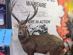 -都市枪神实弹射击俱乐部