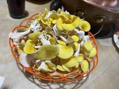 黄金菇-仙蘑洞