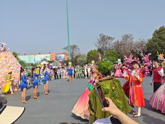 -荷兰花海