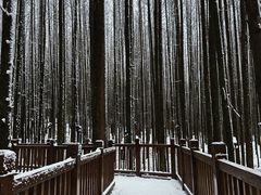 -山王坪喀斯特国家生态公园